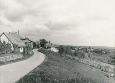 Vrhovac (Ozalj) - Panorama