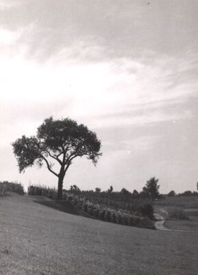 Jakovlje - Dvorac Oršić, pejzaž