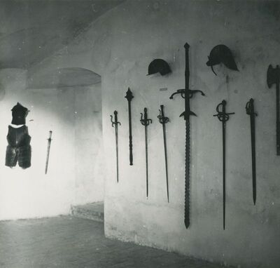 Trakošćan - dvorac, oružana