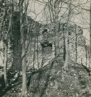 Zelingrad - Stari grad Zelingrad, ulazna kula