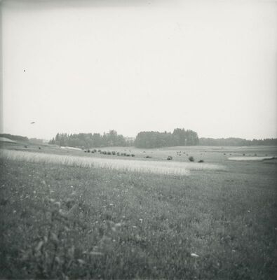 Maruševec - dvor, park