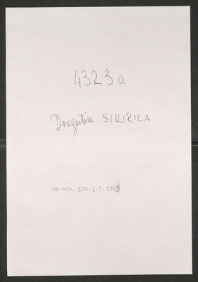 Sikirica, Dragutin, 1913. Policijski karton