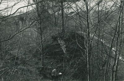 Vinica Breg (Vinica) - ruševine srednjovjekovnog grada