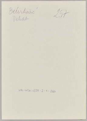 Bećirbašić, Vehab, 4.9.1905. Policijski karton