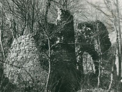 Zelingrad - Stari grad Zelingrad, cilindrična i ulazna kula