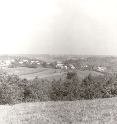 Lijevi Štefanki - Panorama