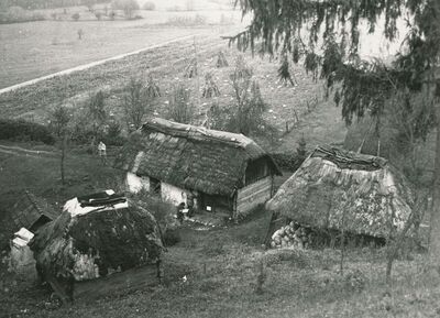 Tomašnica (Ozalj) - Okućnica