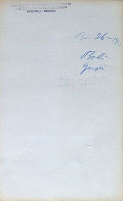 Izvještaj Radoslava Grujića, konzervatora s terena, iz Bolča