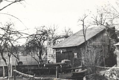 Brlog Ozaljski (Kamanje) - Stari grad, ostaci obrambenog zida
