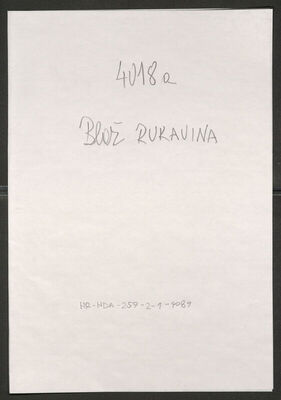 Rukavina, Blaž, 1882. Policijski karton