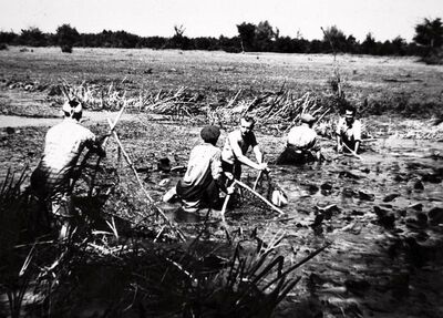 Dvorišće - Ribolov