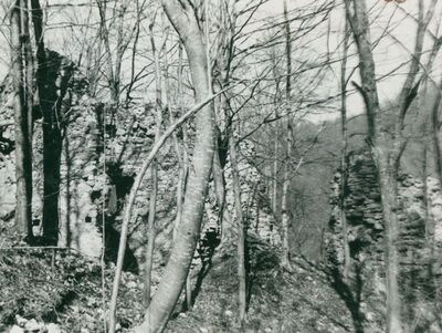 Zelingrad - Stari grad Zelingrad, ulazna u cilindrična kula