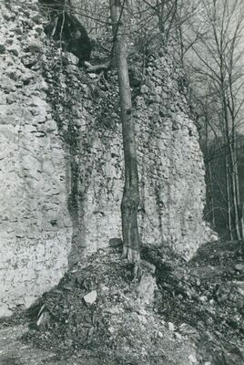 Zelingrad - Stari grad Zelingrad, stambena kula