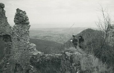 Belec (Zlatar) - Stari grad