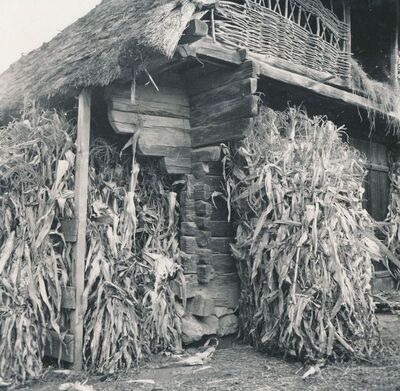 Trg (Ozalj) - hambar, detalj