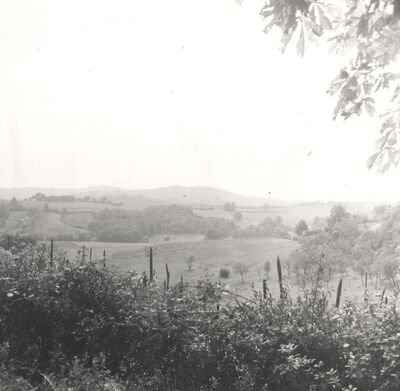 Donji Hruševec - Panorama
