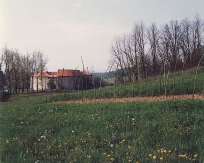 Ribnik - Stari grad