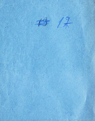 Proclama del Circolo Garibaldi = Proglas Kluba Garibaldi, tiskani letak, 20.09.1890.(u kuverti)