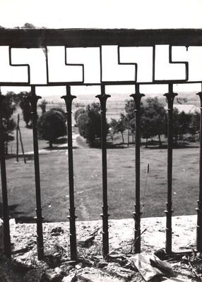 Jakovlje - Dvorac Oršić, ograda terase