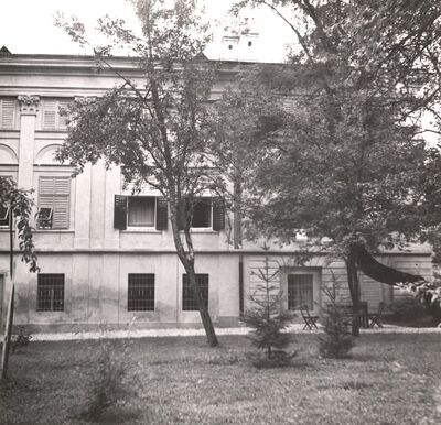 Januševec - Dvorac Januševec, detalj pročelja