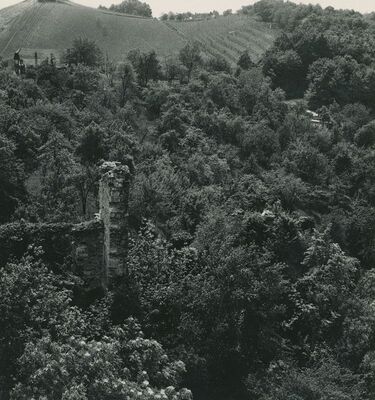 Vinica Breg (Vinica) - ruševine srednjovjekovnog grada