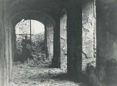 Oroslavje - Dvorac Oroslavje Gornje, vanjština, ruševina