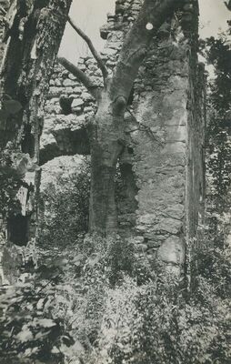 Grtovec (Budinščina) - Stari grad Milengrad, unutrašnjost, detalj