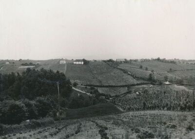 Vrhovac (Ozalj) - Veduta Vrhovca