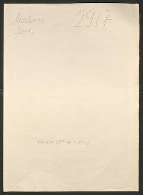 Malivec, Dora rođ. Krilčić, 1891. Policijski karton