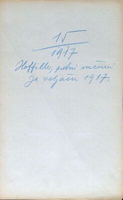 dr. Viktor Hoffiller, putni računi za veljaču 1917. godine