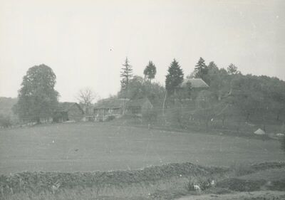 Škarićevo Donje (Krapina) - Kurija Škarićevo, situacija u krajoliku