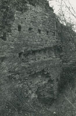 Vinica Breg (Vinica) - ruševine srednjovjekovnog grada, otvori