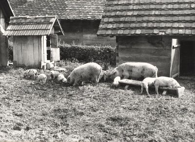 Cvetković Brdo - Gospodarske zgrade