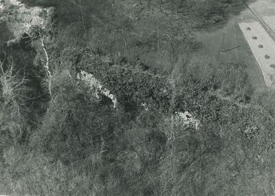 Vinica Breg (Vinica) - ruševine srednjovjekovnog grada