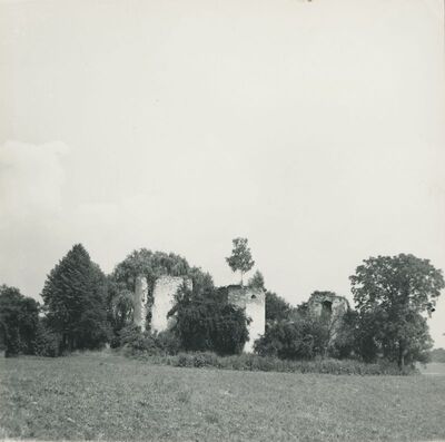 Bisag - dvorac, vegetacija