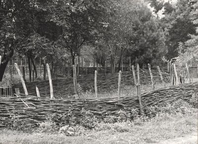 Drenje Šćitarjevsko - Ograda