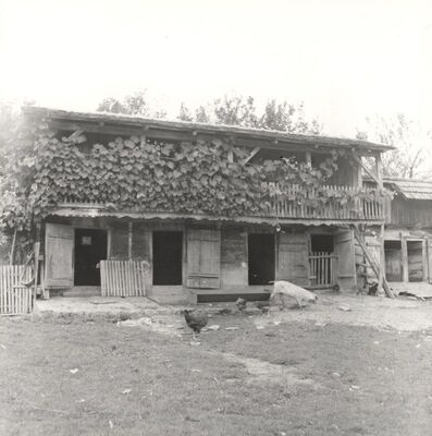 Drenje Šćitarjevsko - Gospodarska zgrada, svinjac