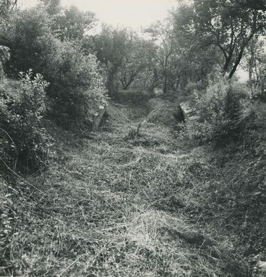 Čanjevo (Visoko) - gradski šanac