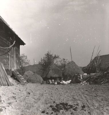 Gustelnica - Gospodarsko dvorište