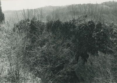 Vinica Breg (Vinica) - ruševine srednjovjekovnog grada