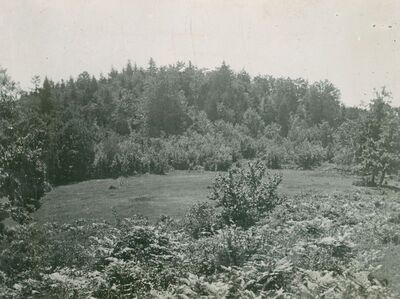 Medvednica - Gradišće iznad Vitelnice