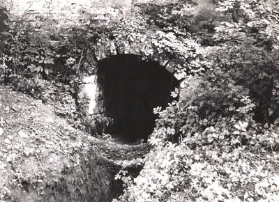 Jakovlje - Dvorac Oršić, podrumski otvor