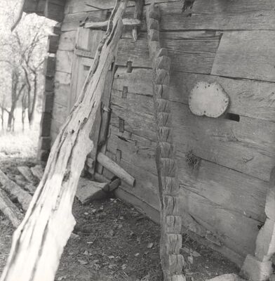 Donji Hruševec - Stepenice za kokoši