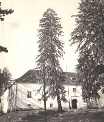 Jastrebarsko - Dvorac Erdődy, ulazno pročelje