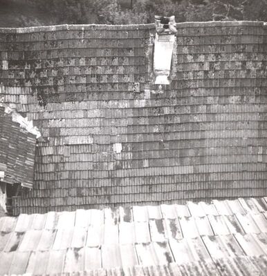 Slavetić - Dvorac Oršić, detalj krova