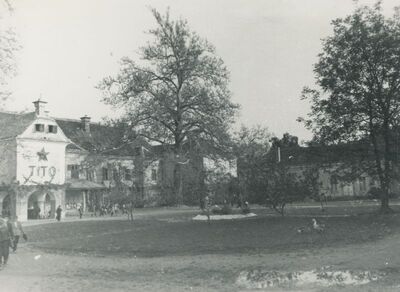 Veliki Bukovec - dvor