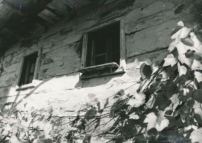 Sršići (Ozalj) - Tradicijska kuća, prozori