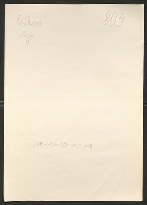 Češković, Mijo, 26.8.1904. Policijski karton