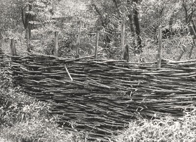 Drenje Šćitarjevsko - Ograda