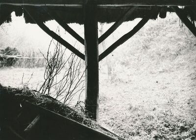 Tomašnica (Ozalj) - Gospodarska zgrada, detalj